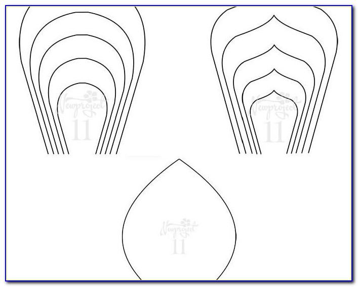 Giant Paper Flower Template Pdf