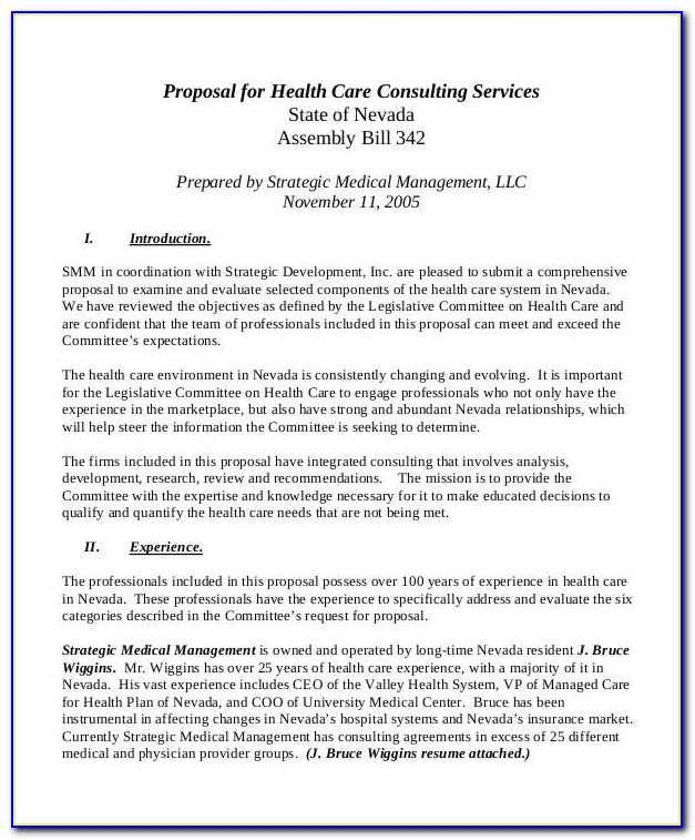 Health Care Proposal Template