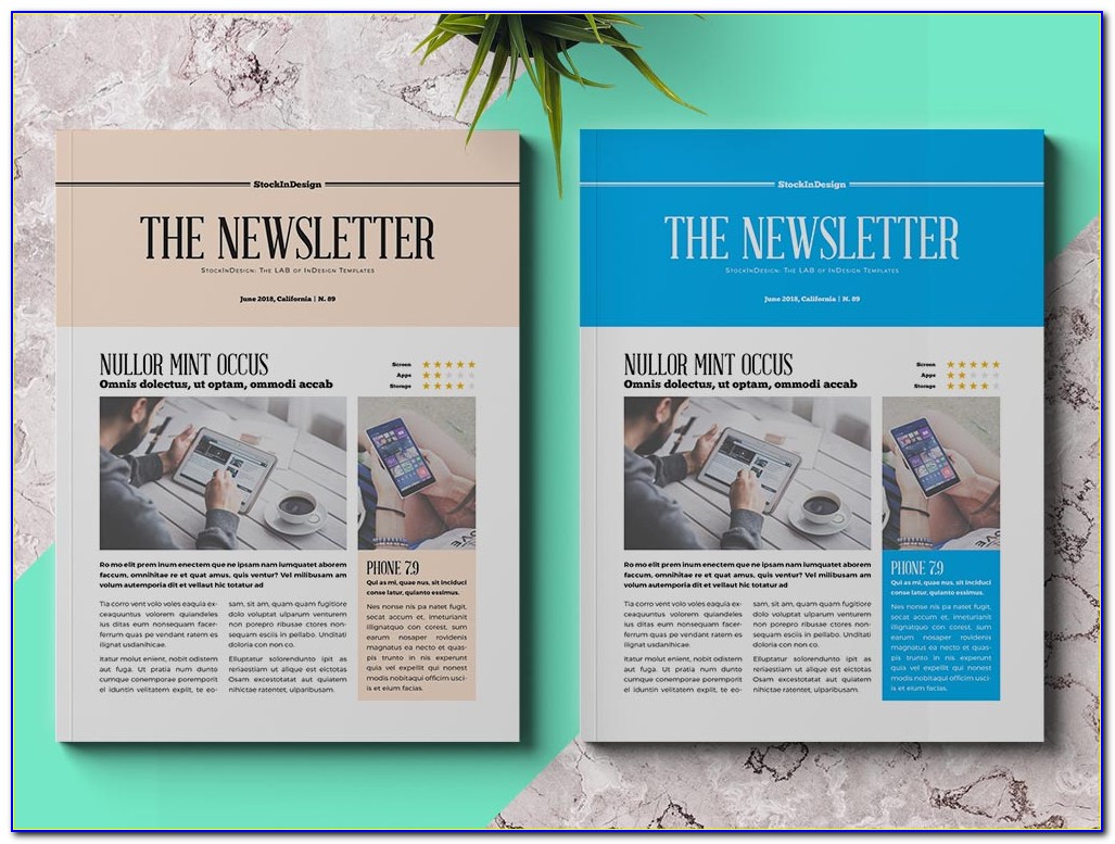Indesign Email Newsletter Templates Free