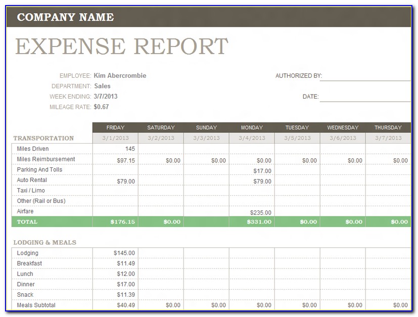 Microsoft Excel Expense Report Template