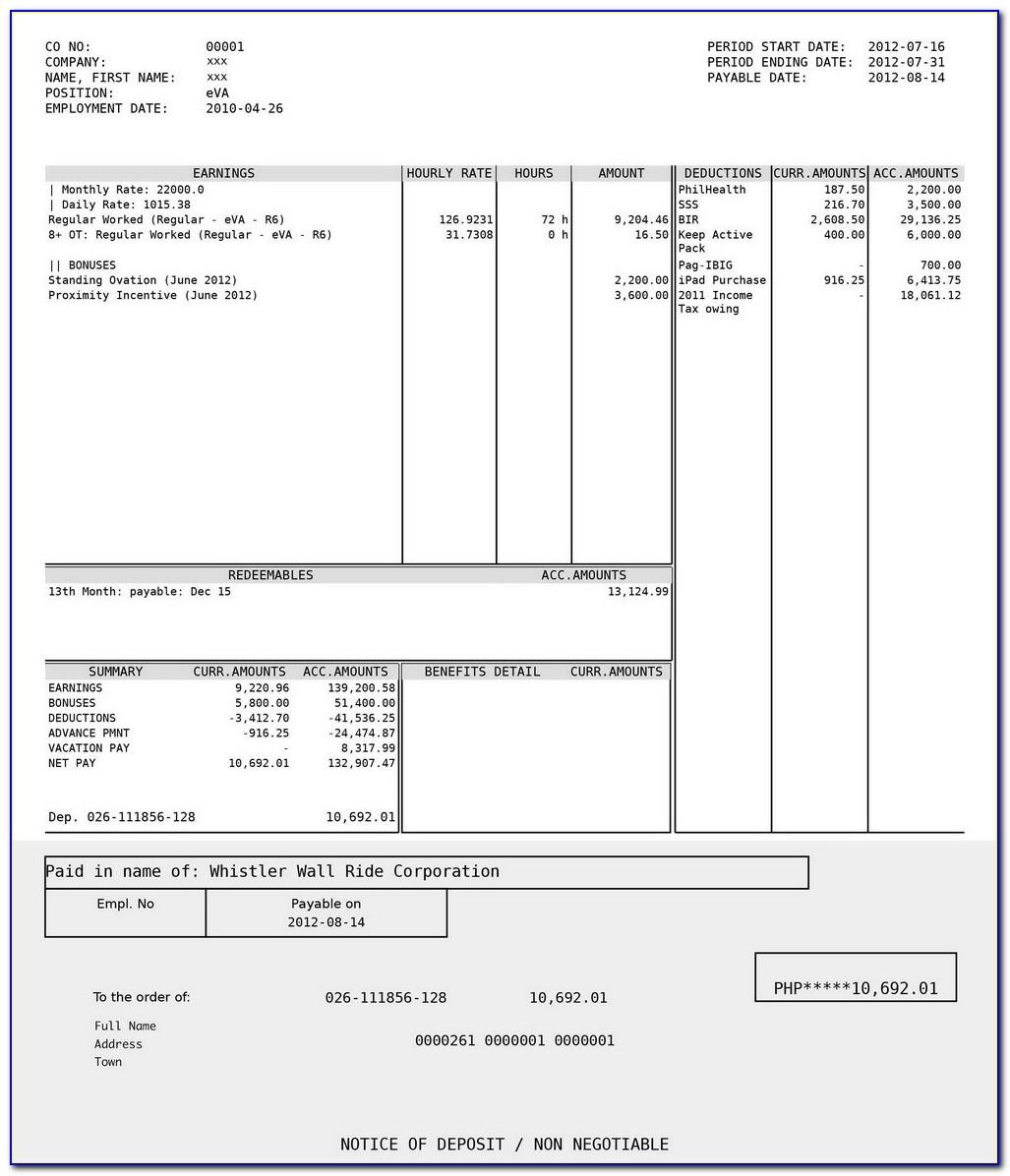 1099 Pay Stub Template Excel