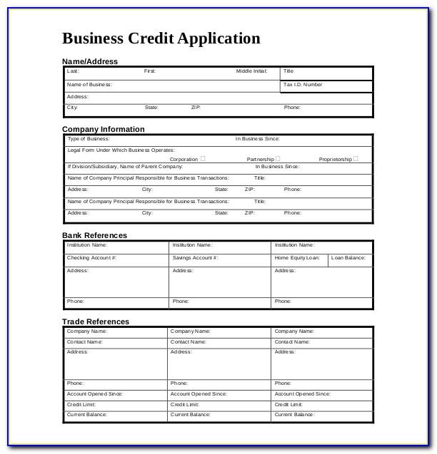 Business Credit Application Template Excel