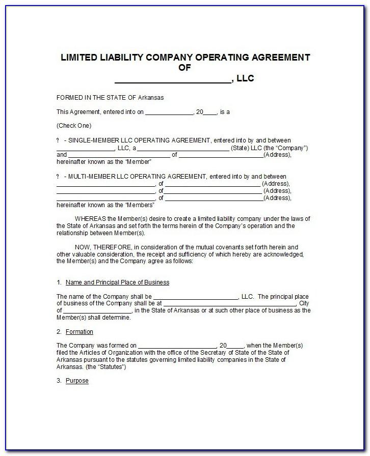 Operating Agreement For Llc Template Georgia