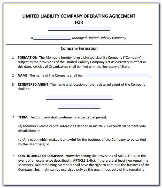 Operating Agreement Template For Partnership Llc