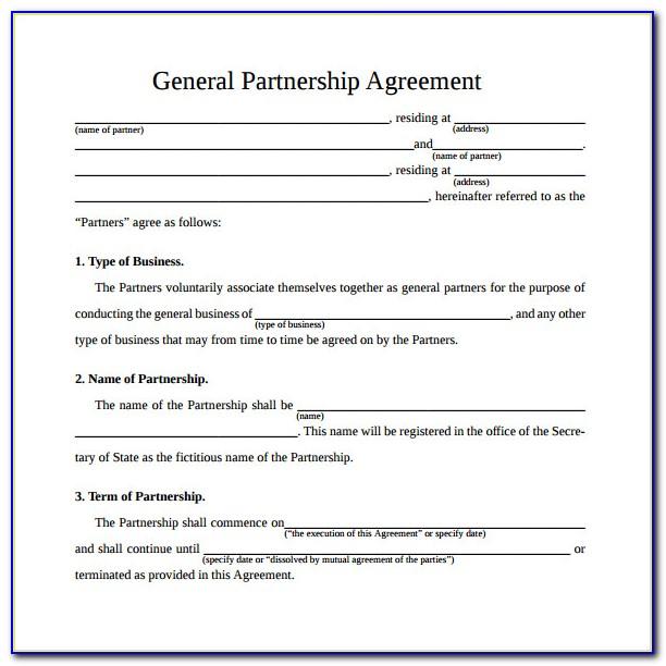 Simple Partnership Agreement Template South Africa