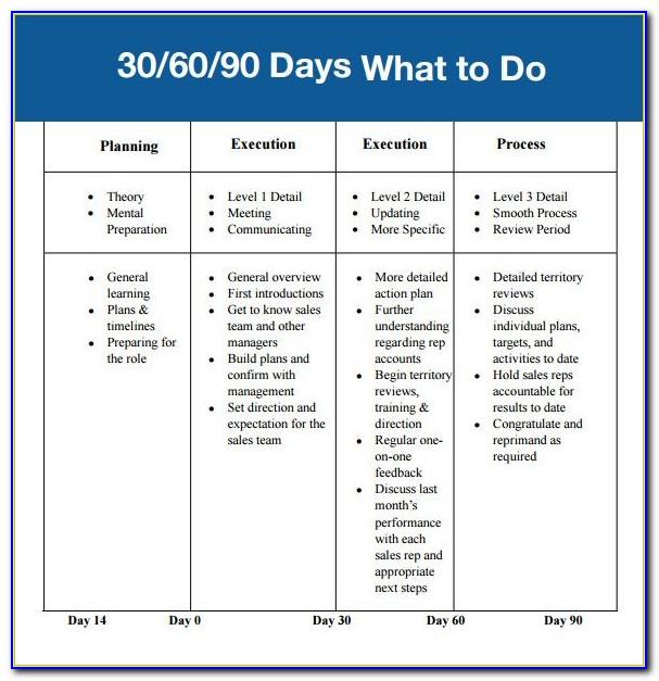 90 Day Business Plan Example