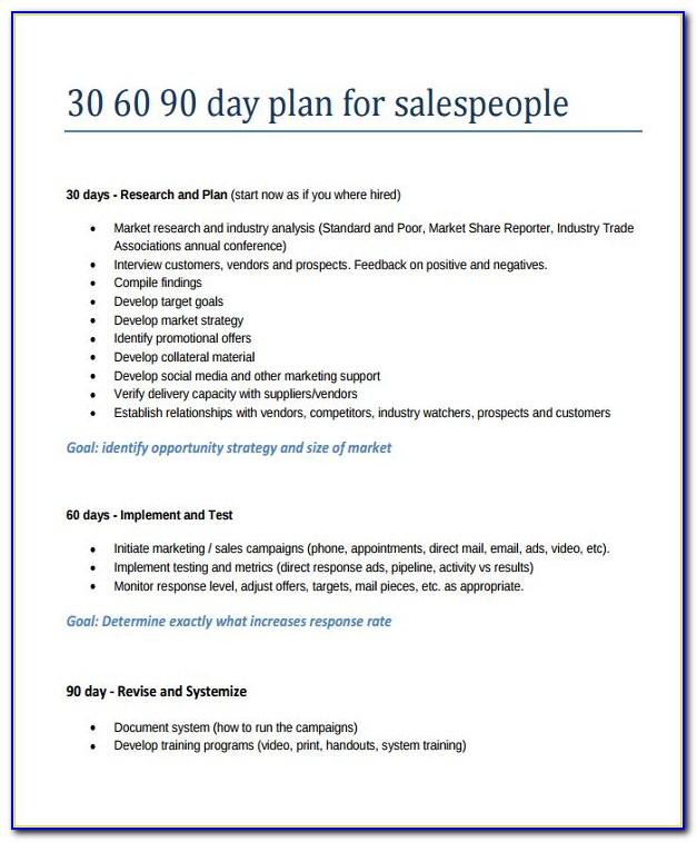 90 Day Business Plan Examples Sales