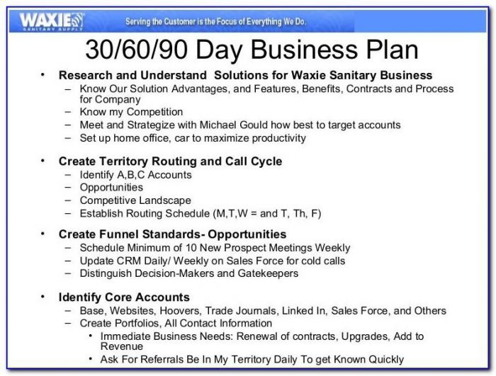 90 Day Business Plan Samples