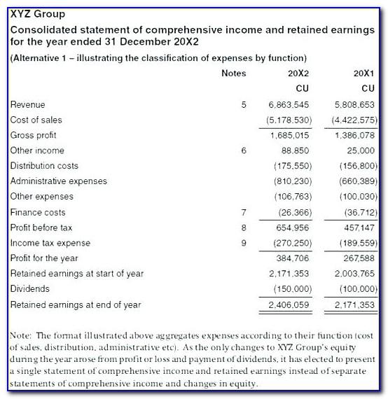 Consolidated Financial Statements Format As Per Companies Act 2013