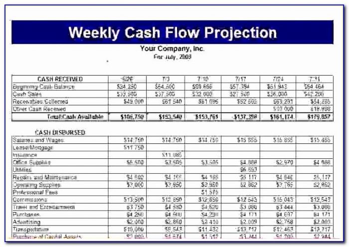 Construction Cash Flow Projection Template