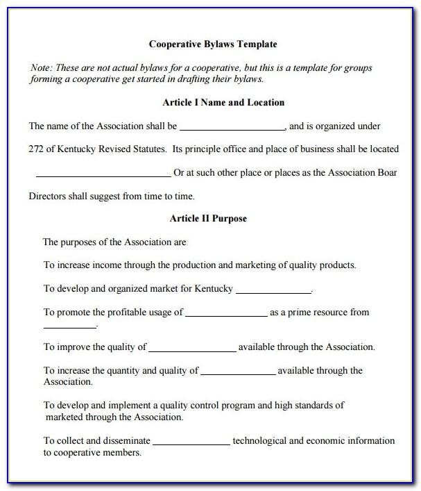Corp Bylaws Template