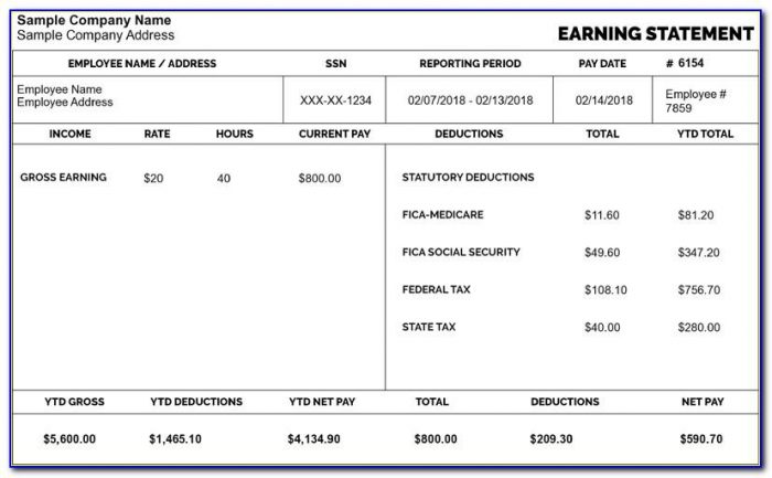 Create Your Own Pay Stub Template
