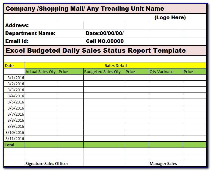 Daily Sales Report Template Free Download