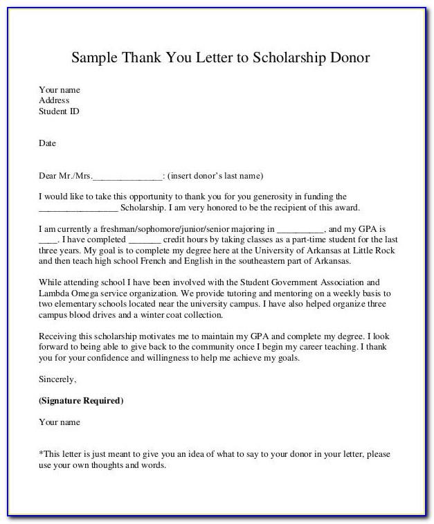 Donor Letter Thank You Template