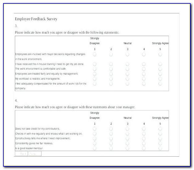 Employee Satisfaction Survey Questionnaire Doc