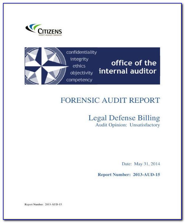 Forensic Audit Report Example