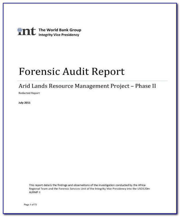 Forensic Audit Report Format In India
