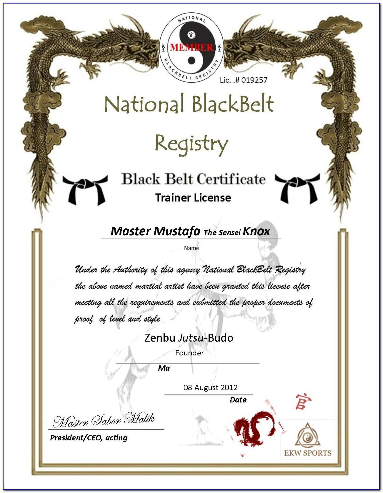 Martial Arts Certificate Templates Download