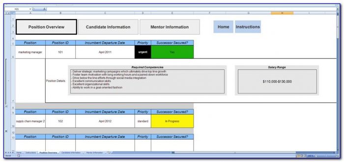 Succession Planning Ms Excel Template