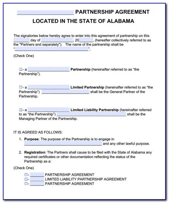 Business Partnership Agreement Contract Template