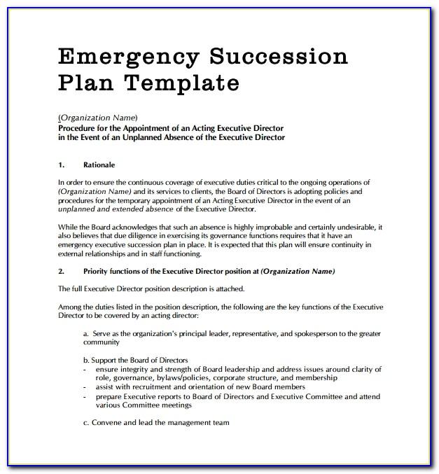 Emergency Succession Plan Template