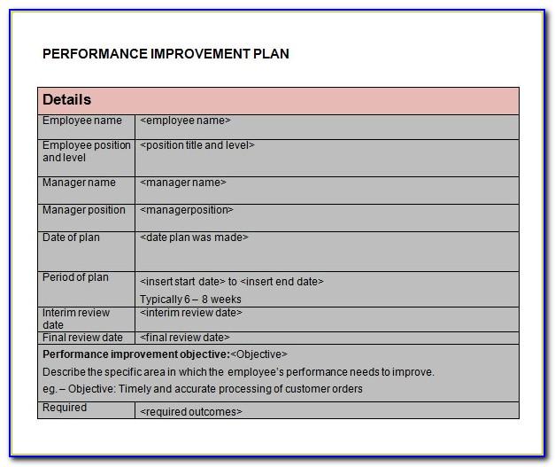 Healthcare Performance Improvement Plan Template
