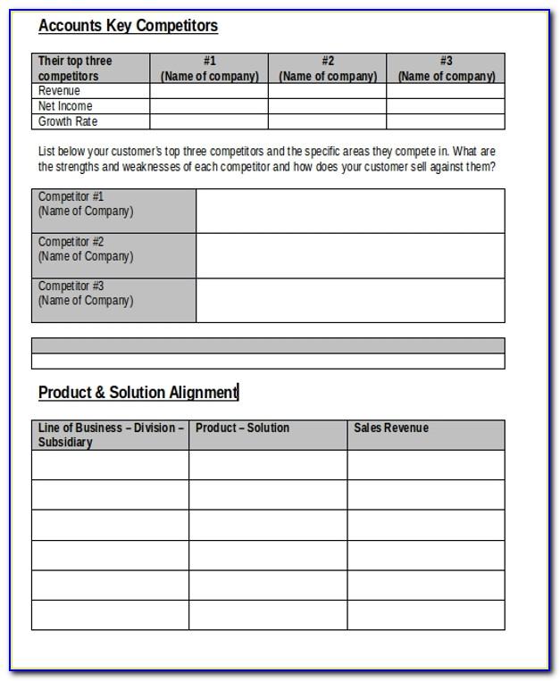 Key Account Plan Template Free Download