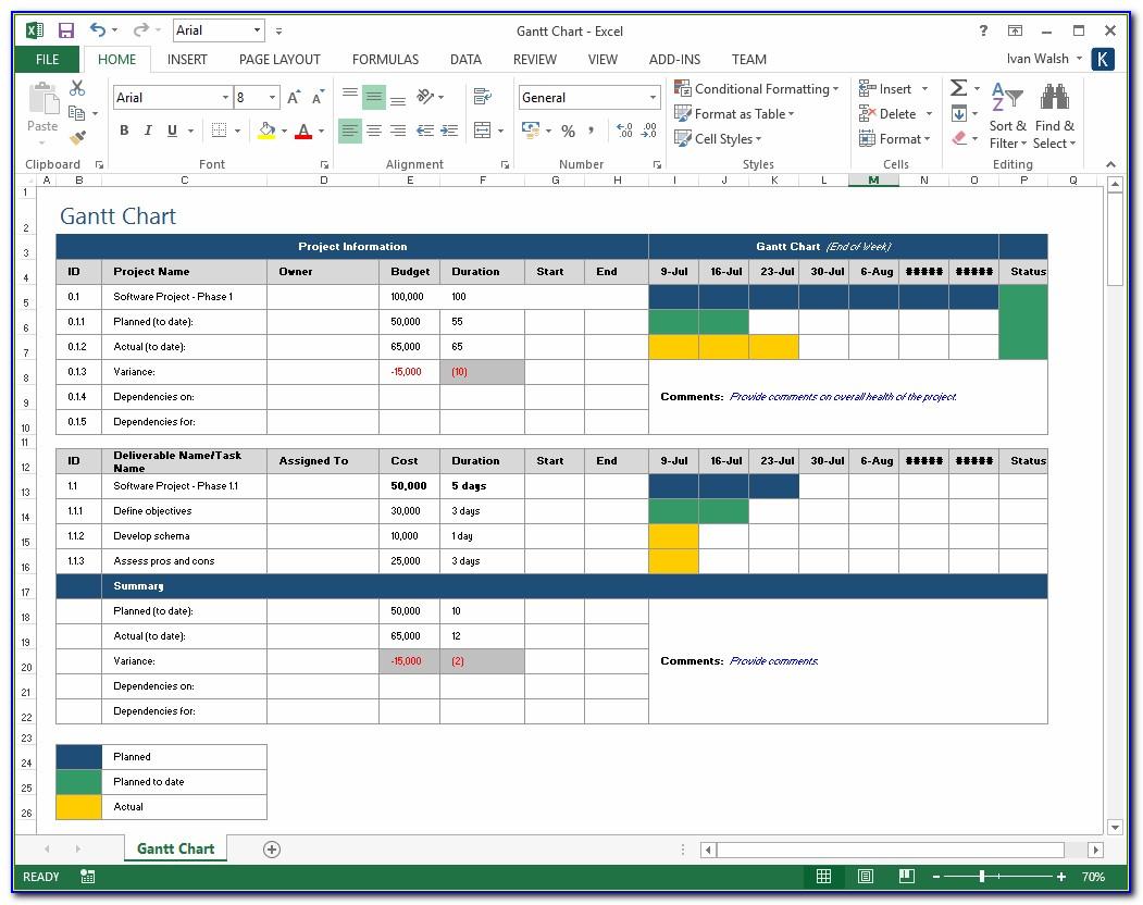 Ms Project Excel Template