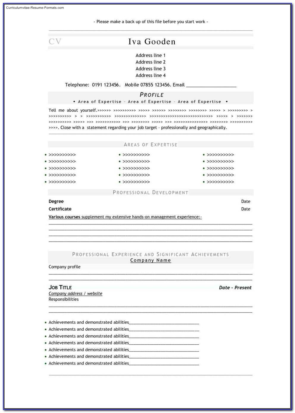 Professional Resumes Templates Word