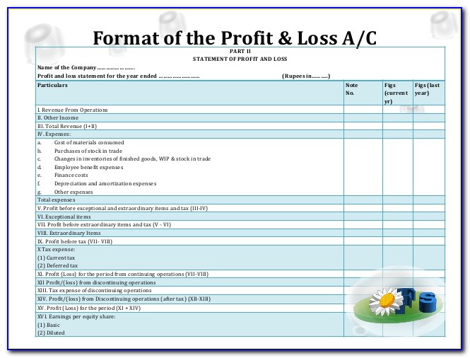 Statement Of Profit And Loss Format As Per Schedule 3