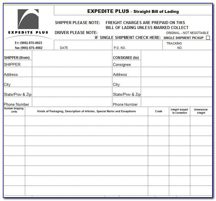 Template For Bill Of Lading Excel
