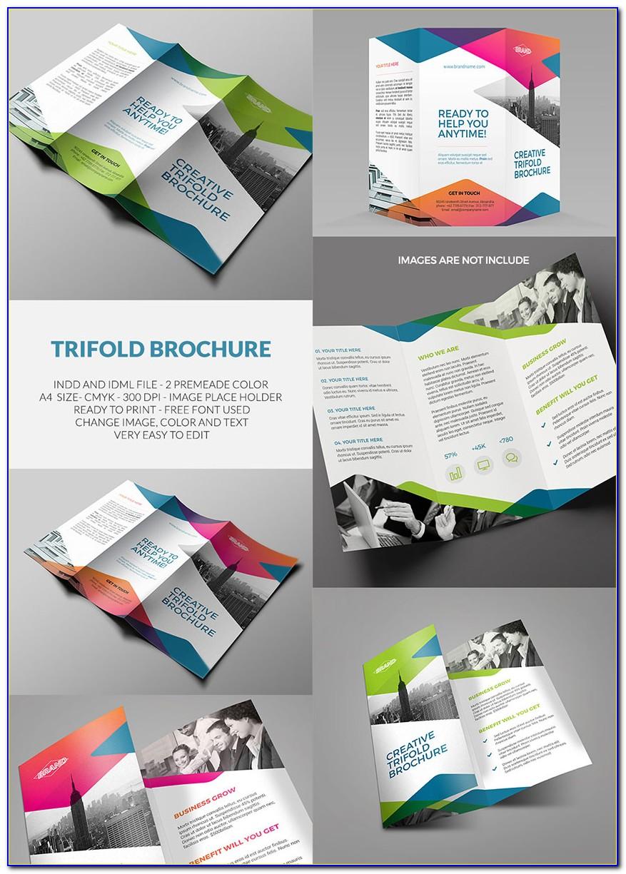 Tri Fold Brochure Template