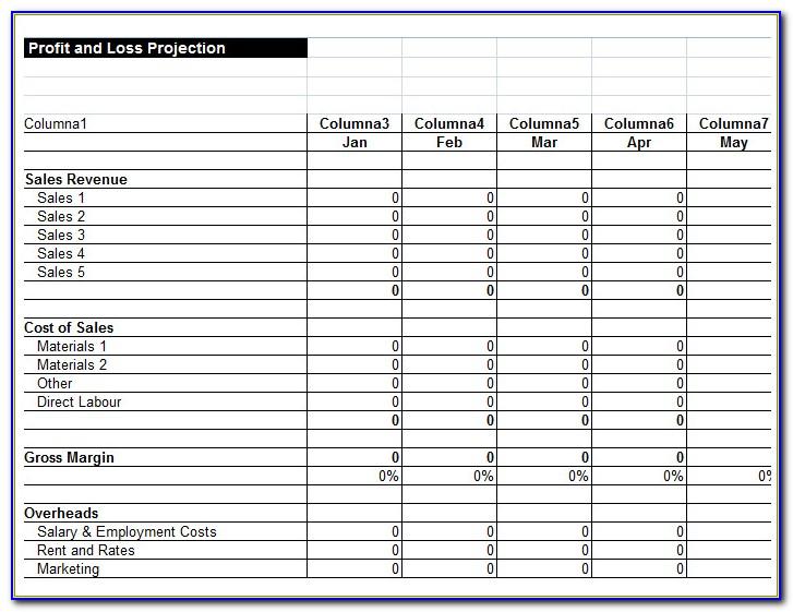 Profit And Loss Statement Template Free Download