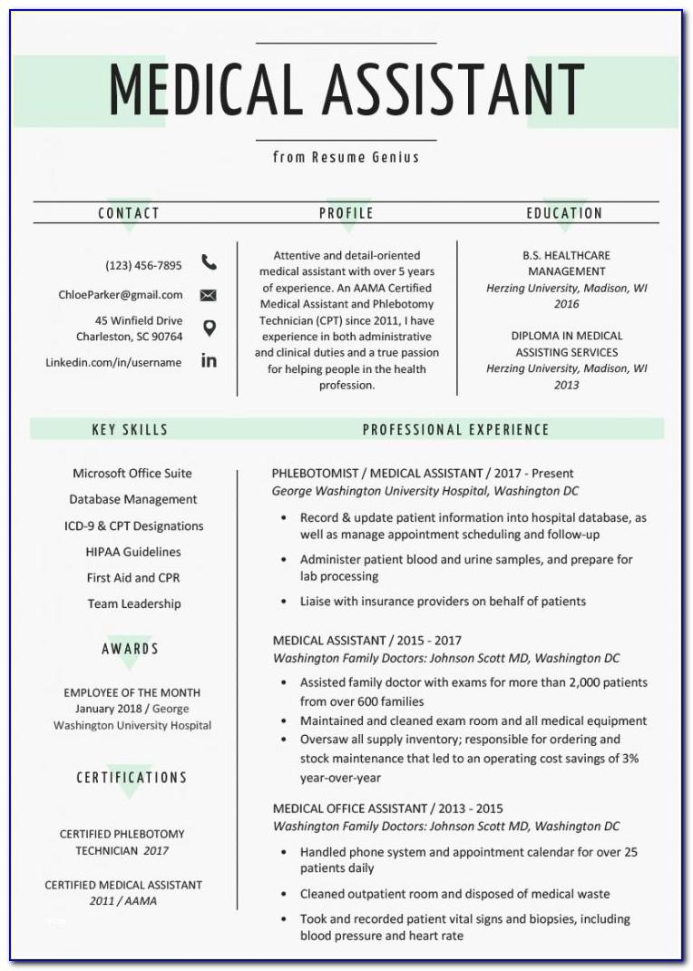 Top 10 Resume Templates For Freshers