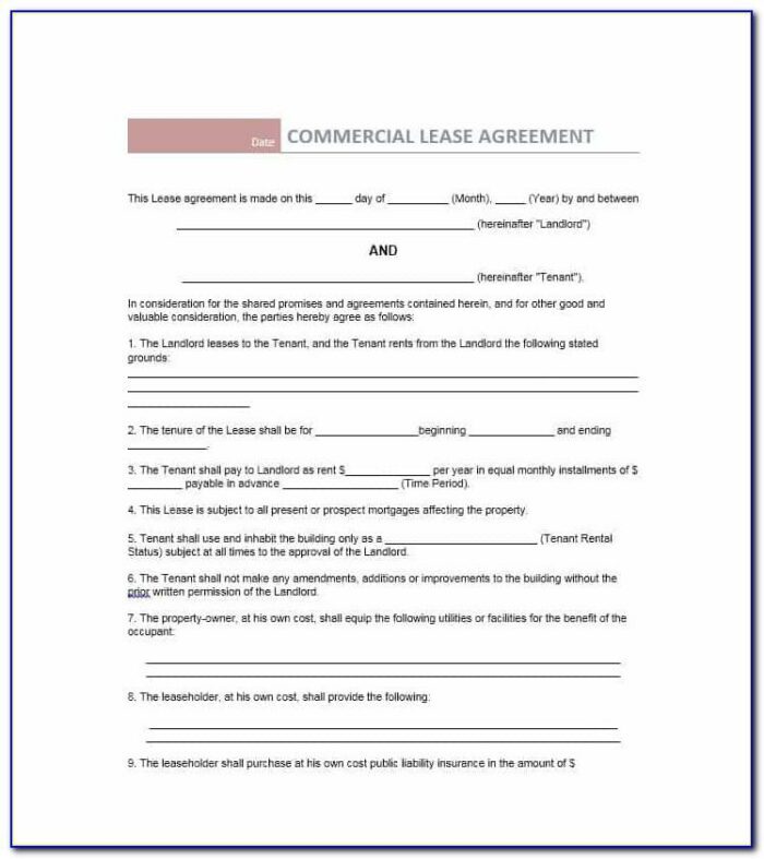 Commercial Lease Agreement Template Free Queensland