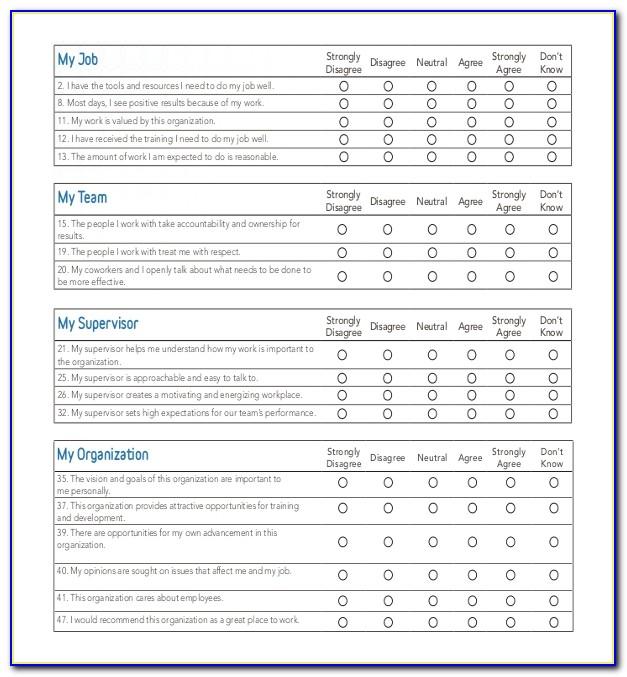 Employee Survey Template Excel