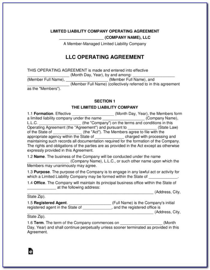 Single Member Llc Operating Agreement Free Template