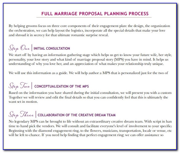 Wedding Planner Proposal Template Free