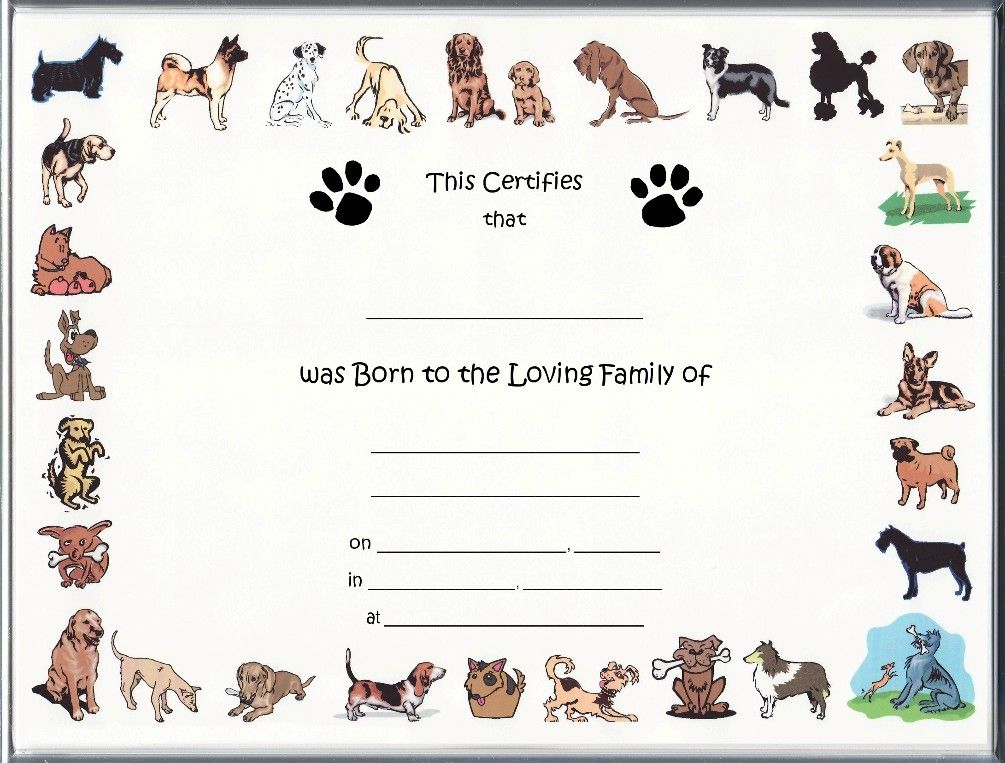 Free Puppy Certificate Templates