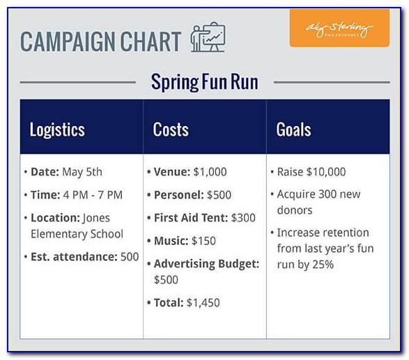 Political Campaign Fundraising Plan Template