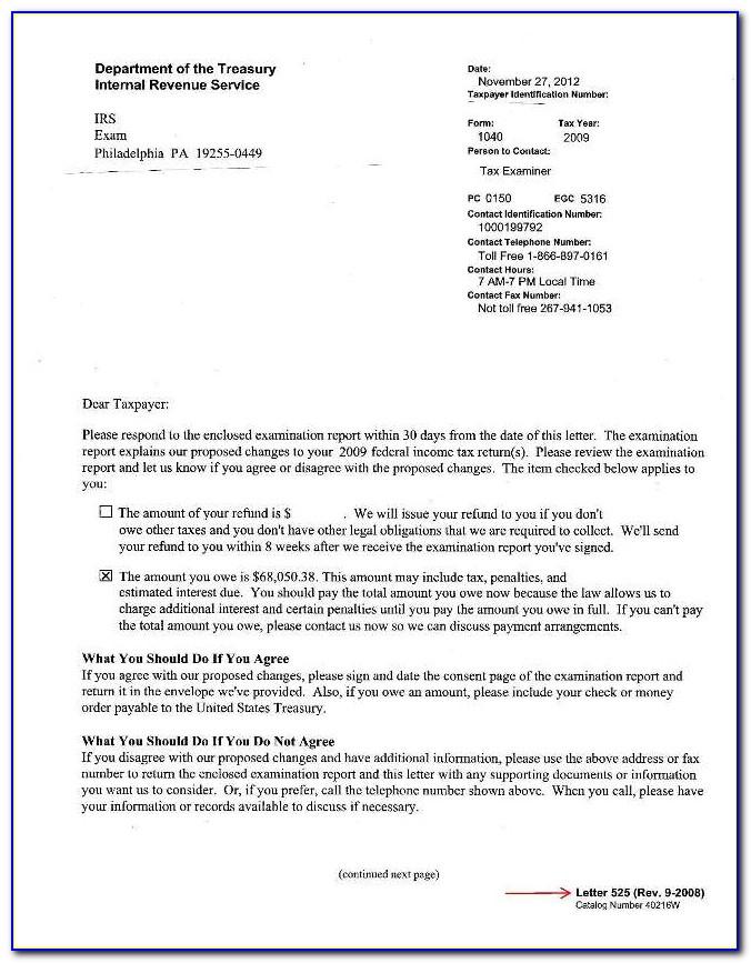 Irs Audit Extension Letter Sample
