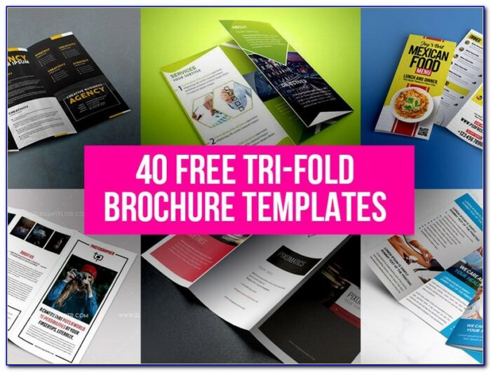 Best Brochure Design Templates Free Download