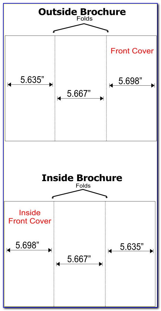 Tri Fold Brochure Size