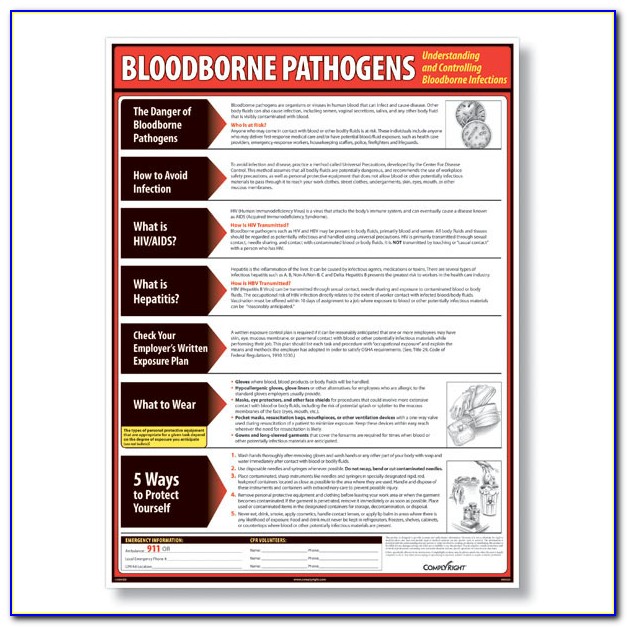 Bloodborne Pathogens Certification For Permanent Makeup
