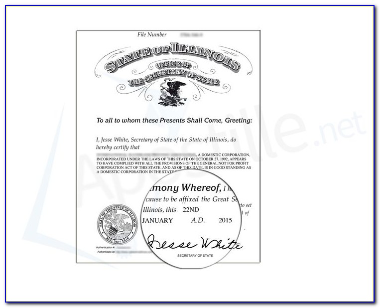 Dupage County Clerk Birth Certificate