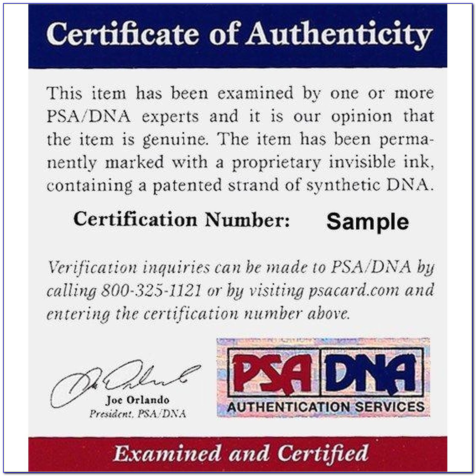 Fake Psa Dna Certification