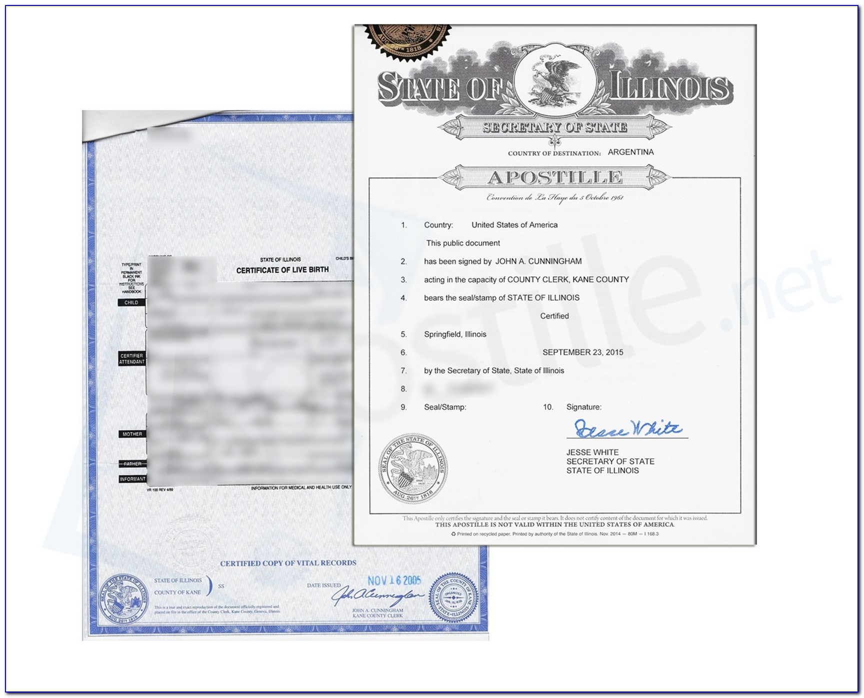 Kane County Birth Certificate
