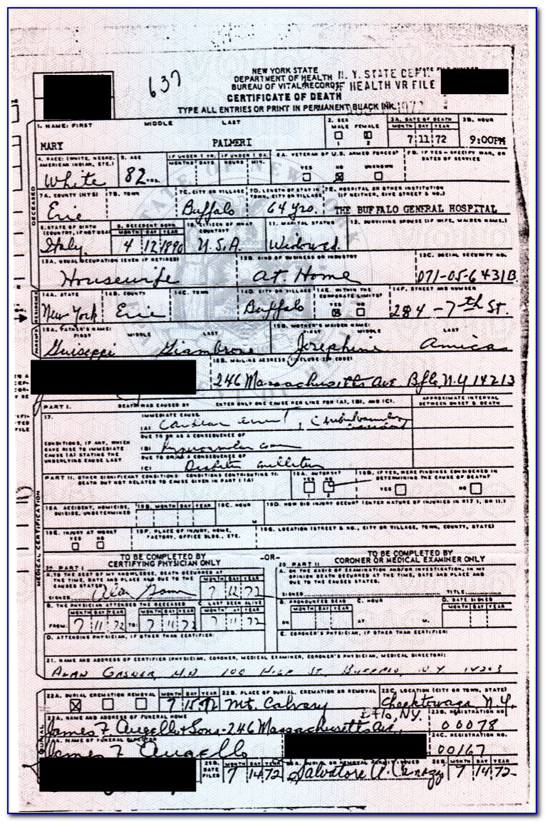 Nyc Birth Certificate Correction Application Form