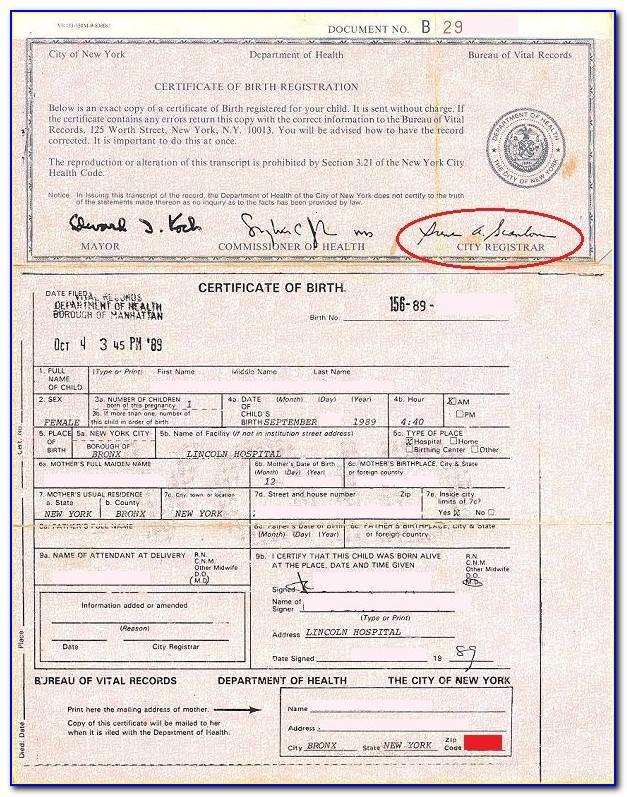 Nys Birth Certificate Number