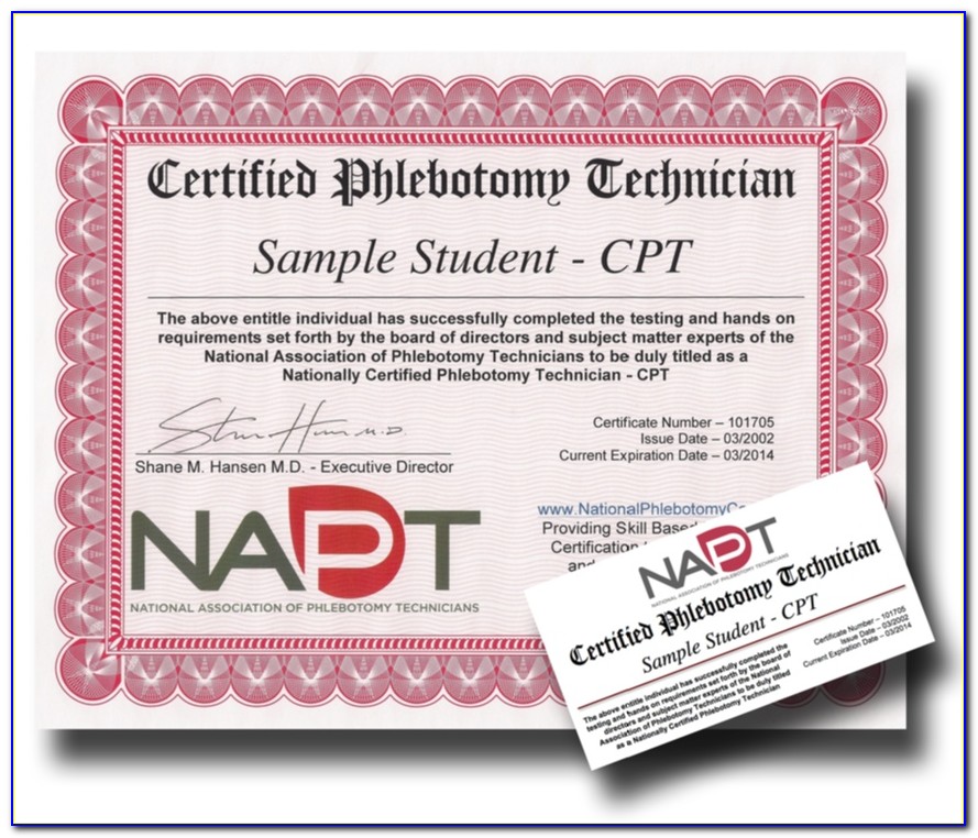 Phlebotomy Certification Online Nj